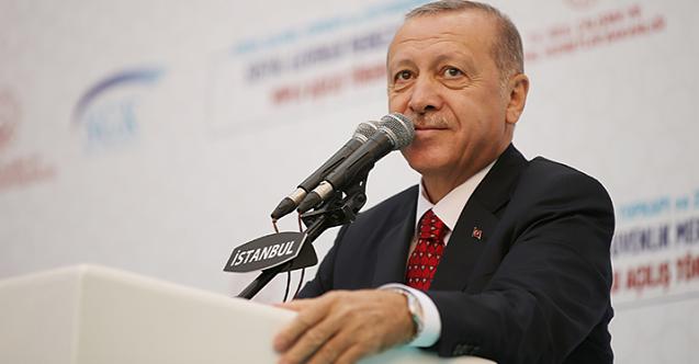 Cumhurbaşkanı Erdoğan’ın Açıklamasına Göre Bireysel Emeklilikte Biriken Paralar Özel Sektöre Kredi Olarak Mı Verilecek ?